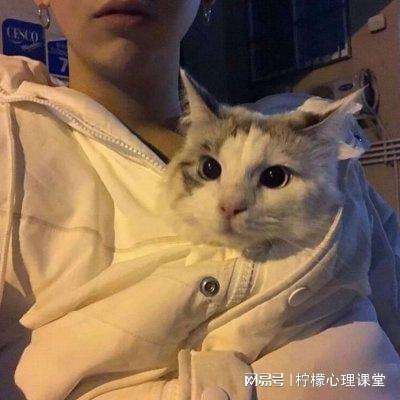 精灵总动员百度版下载
